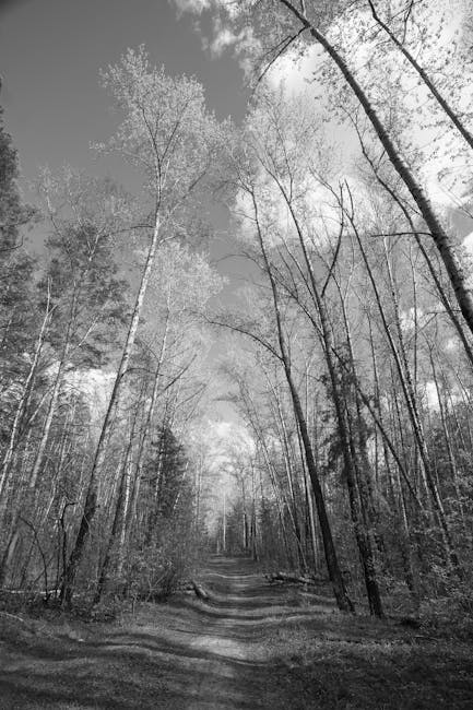 ADFS in 2025: Still Around, Still Useful — Just Not for Everyone screenshot