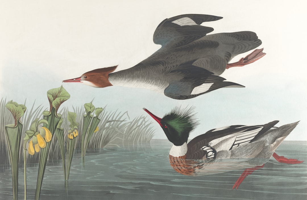 ASRock Timing Configurator, how asrock timing configurator works, ASRock Timing Configurator bios setup guide