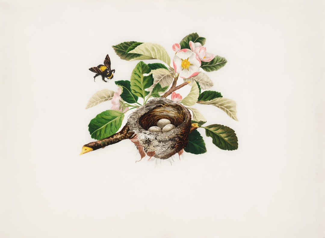 ASRock Timing Configurator, how asrock timing configurator works, ASRock Timing Configurator bios setup guide