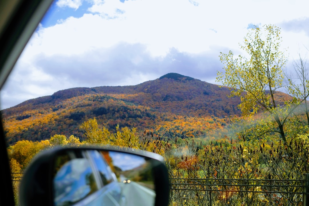 Beta Driver 470.05, how beta driver 470.05 works, Beta Driver 470.05 drivers setup guide