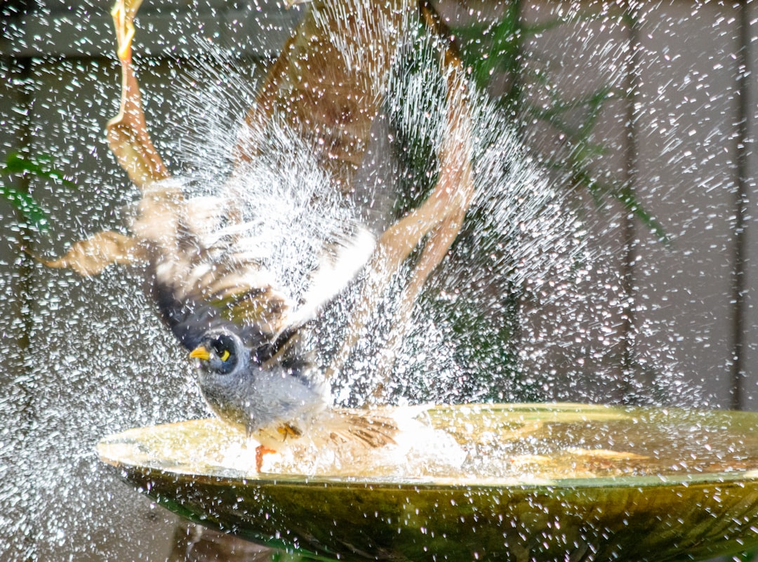 50Miner, how 50miner works, 50Miner miners setup guide