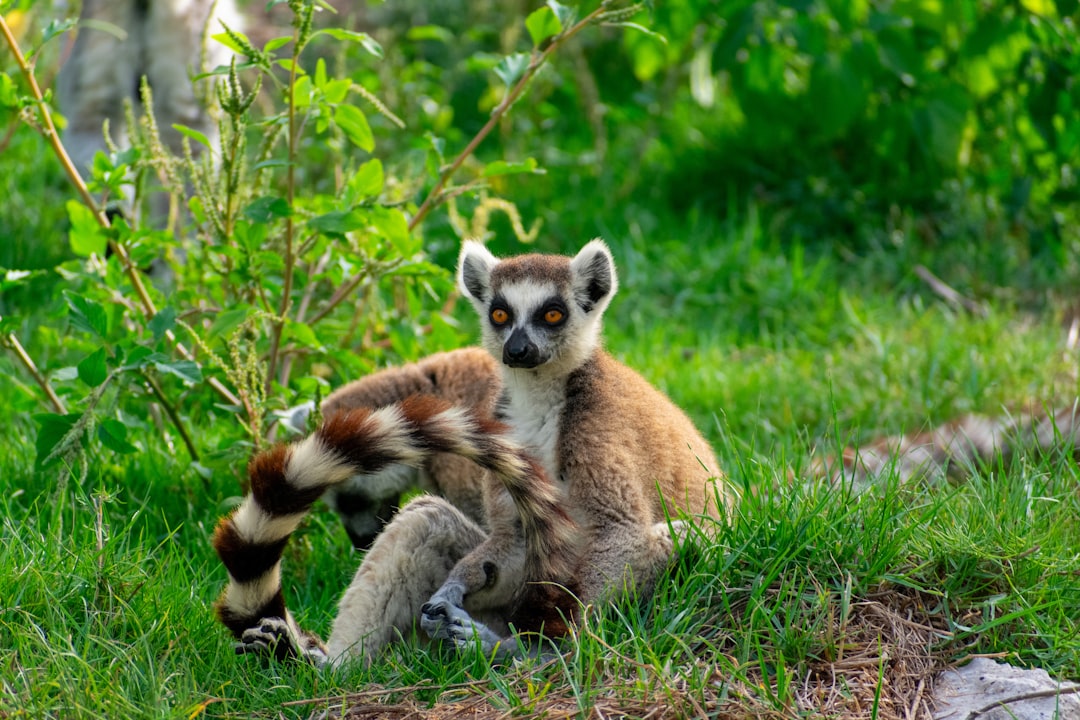 AFUWIN, how afuwin works, AFUWIN bios setup guide